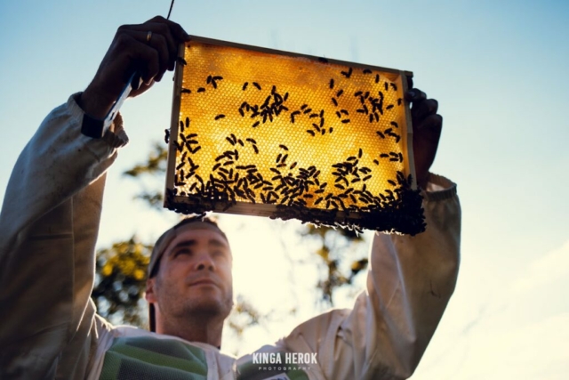 Pasieka Tosia Pszczelarstwo Gaś