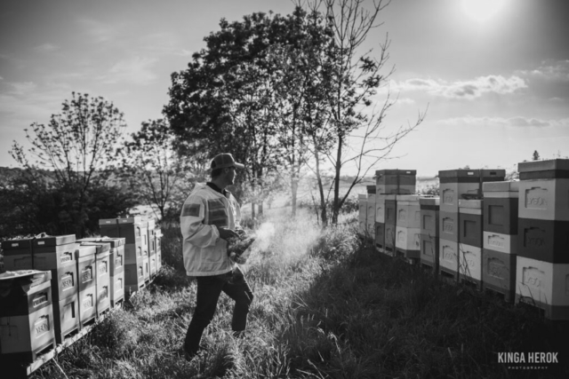 Pasieka Tosia Pszczelarstwo Gaś